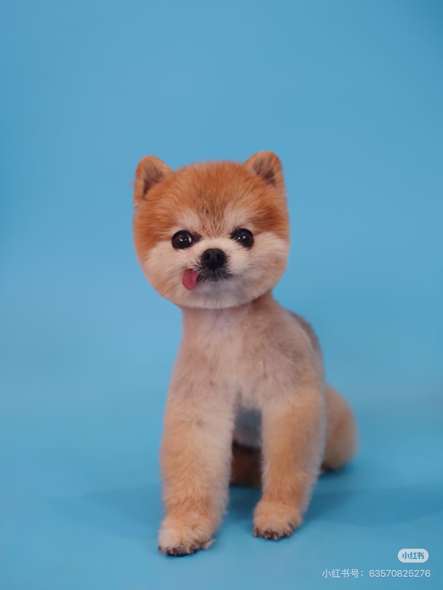 After grooming